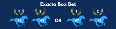 calculate exacta payout|What Is An Exacta Bet & How To Calculate Your Payout .